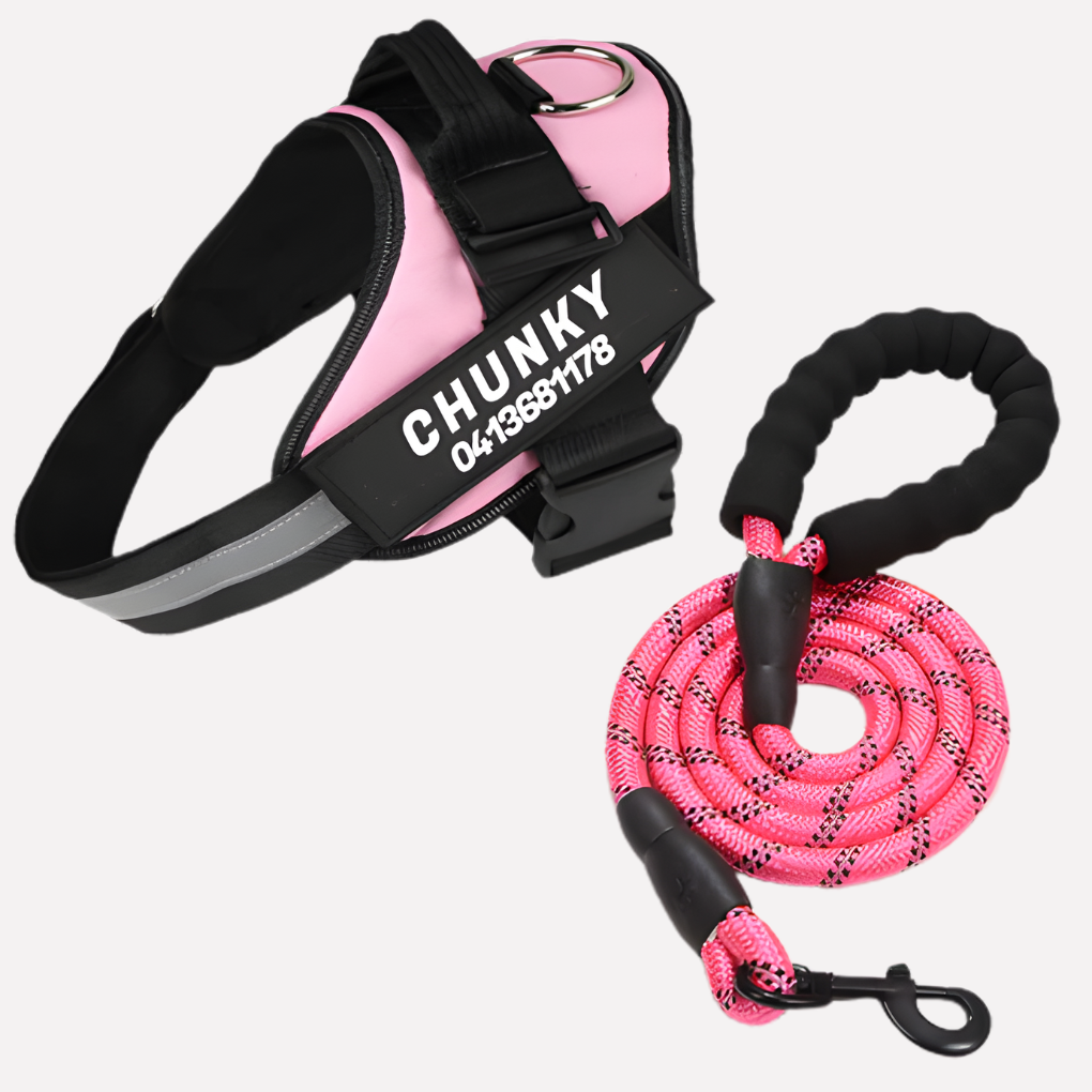 Oak & Coral | Customizable Anti-Pull Dog Harness