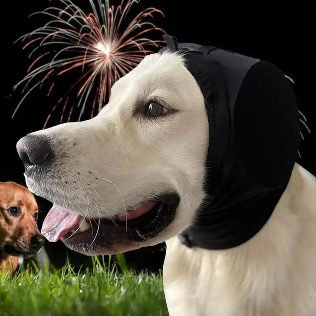 Oak & Coral | Dog Cap for Sound Reduction and Calming