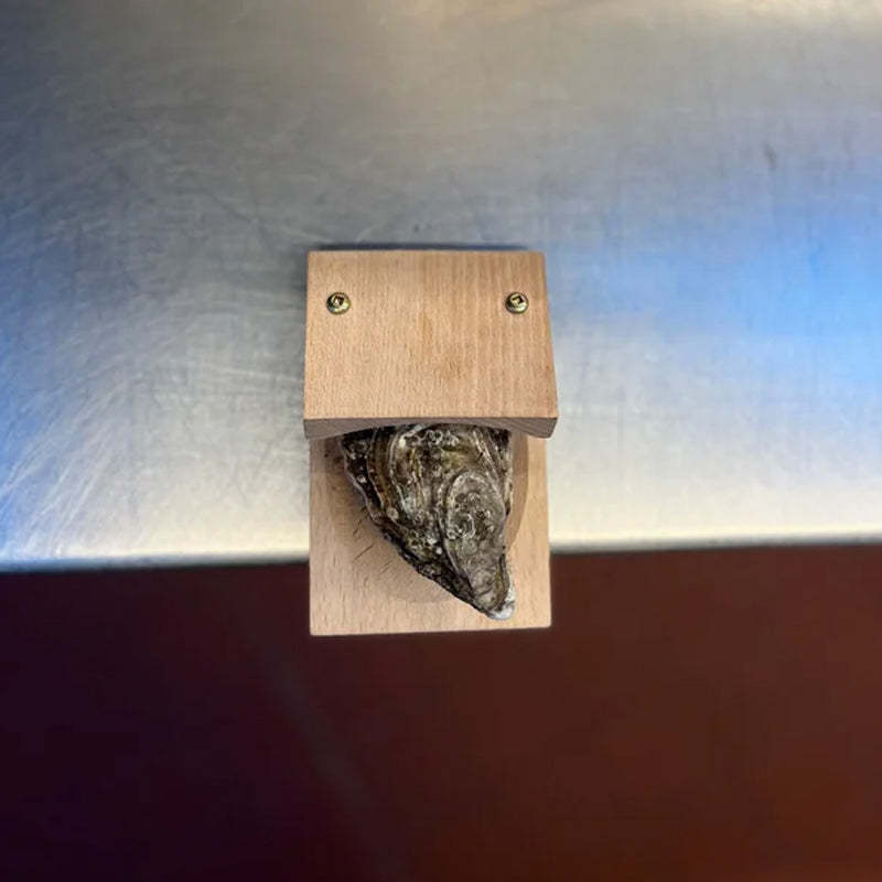 Oak & Coral | Premium wood handle oyster shell opener clamp