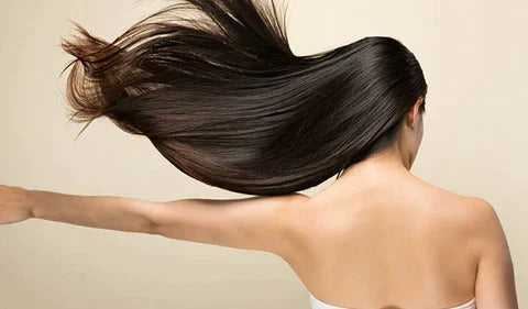Oak & Coral | Ultra-Light Professional Hair Dryer | High-Speed Ionic Technology Salon Hair Dryer