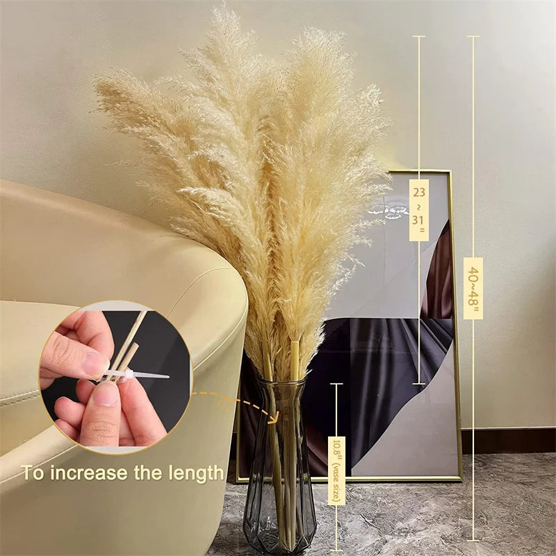 Aurea Meadow Boho Dried Pampas Grass for Home Decor
