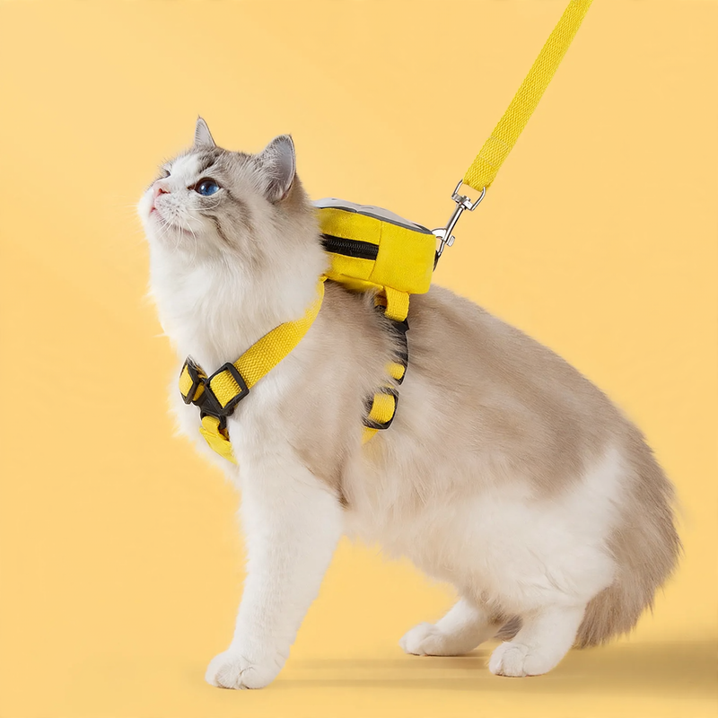 Cat Harness with Transparent Backpack