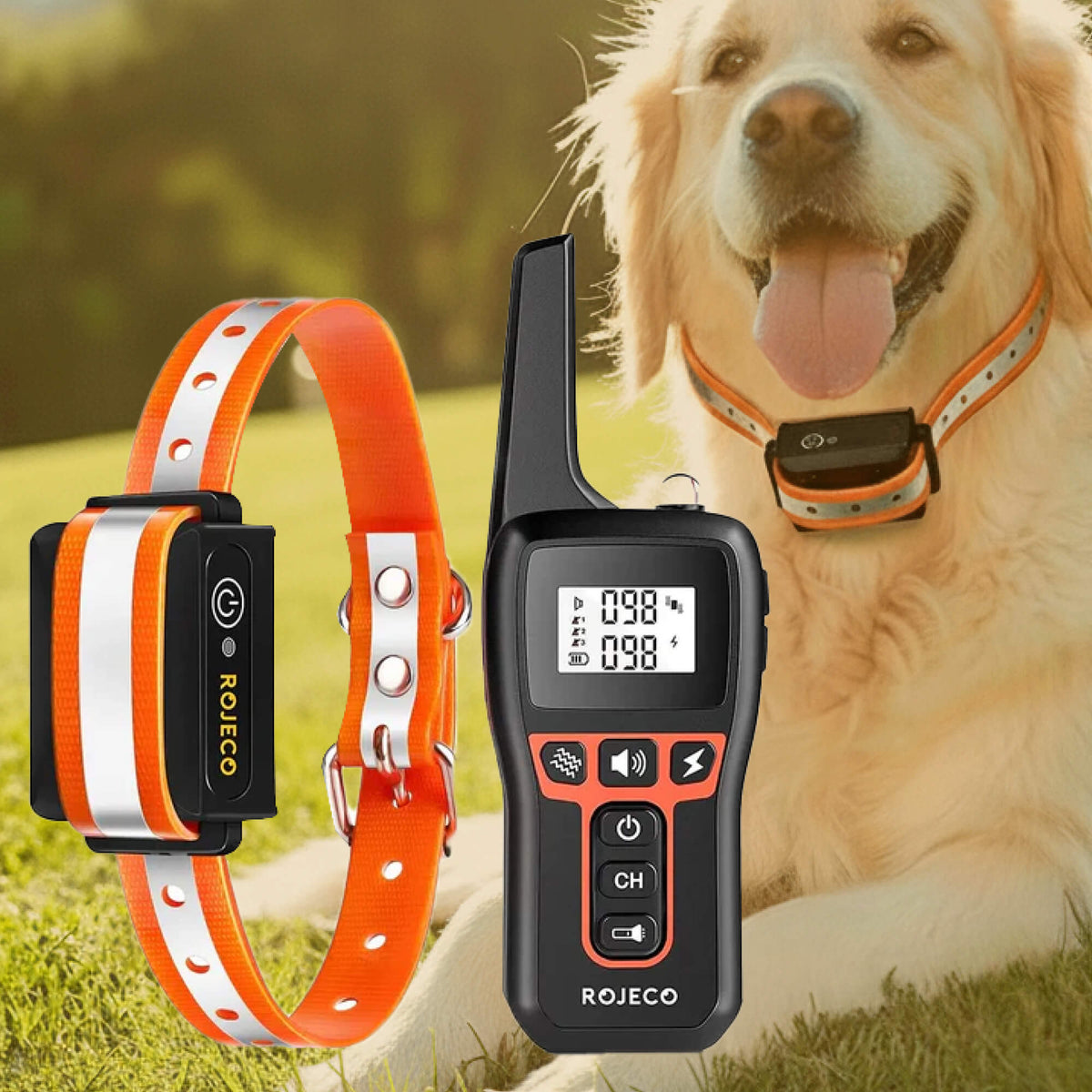 Oak & Coral | 1000m Waterproof Dog Training Collar | Rechargeable, Remote Control & Adjustable for Small, Medium, and Large Dogs