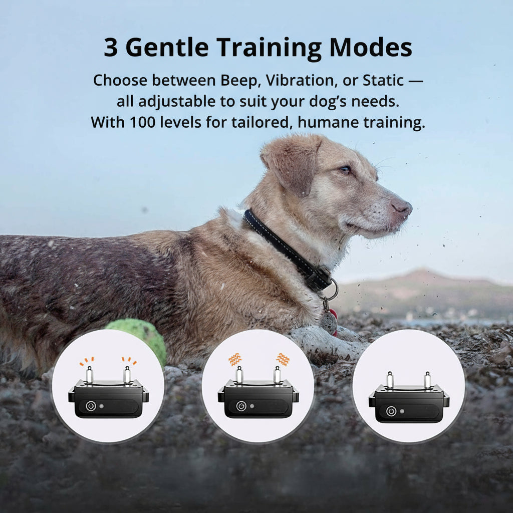 Oak & Coral | 1000m Waterproof Dog Training Collar | Rechargeable, Remote Control & Adjustable for Small, Medium, and Large Dogs