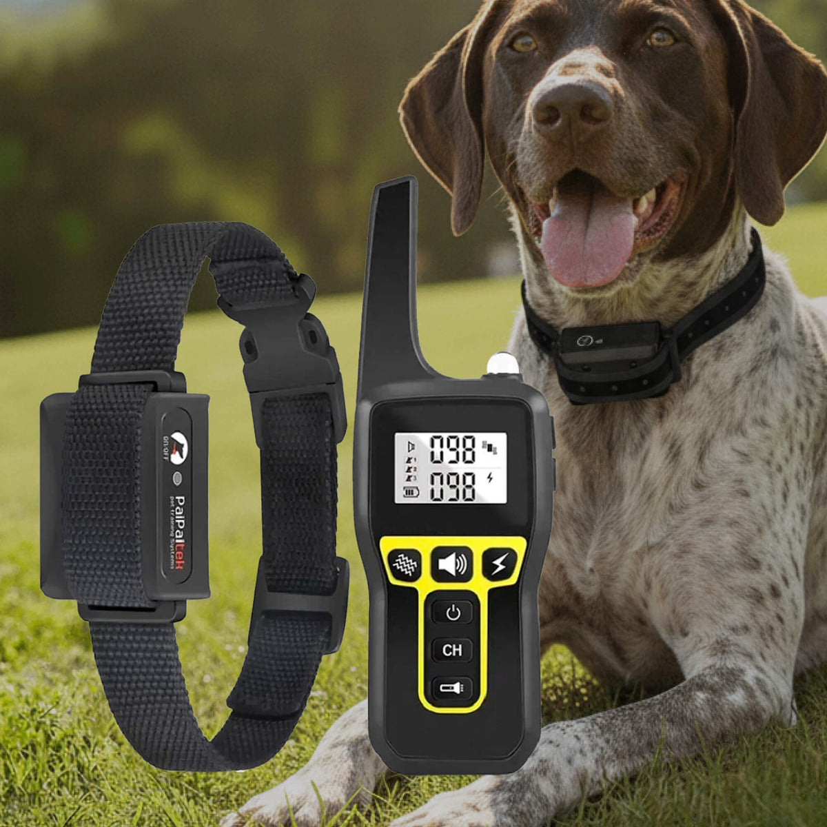 Oak & Coral | 1000m Waterproof Dog Training Collar | Rechargeable, Remote Control & Adjustable for Small, Medium, and Large Dogs