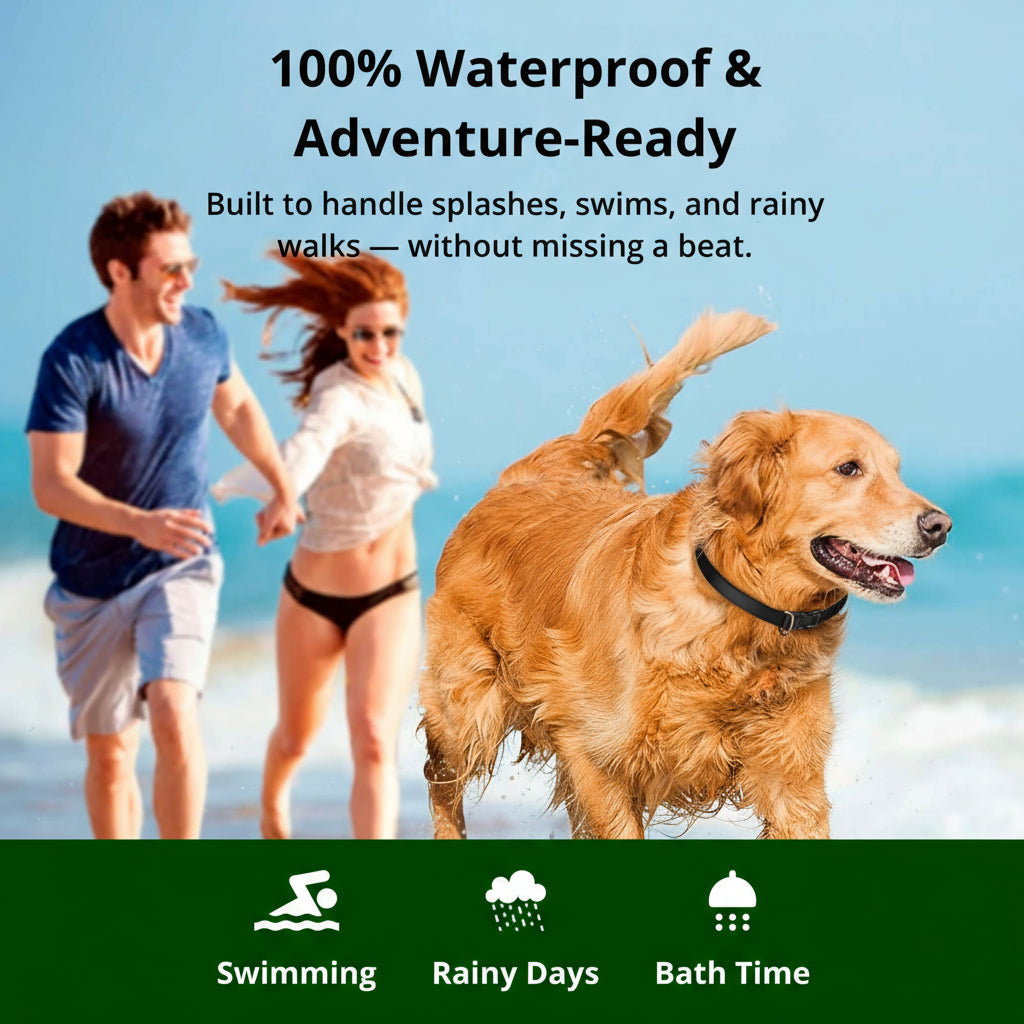 Oak & Coral | 1000m Waterproof Dog Training Collar | Rechargeable, Remote Control & Adjustable for Small, Medium, and Large Dogs
