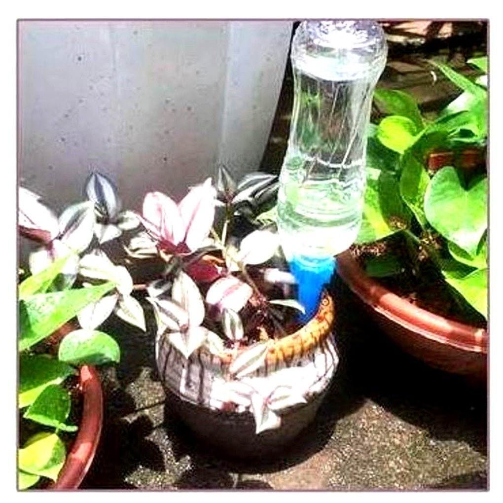 Oak & Coral | Automatic Plant Waterer - Adjustable Flow Garden Aid Spikes