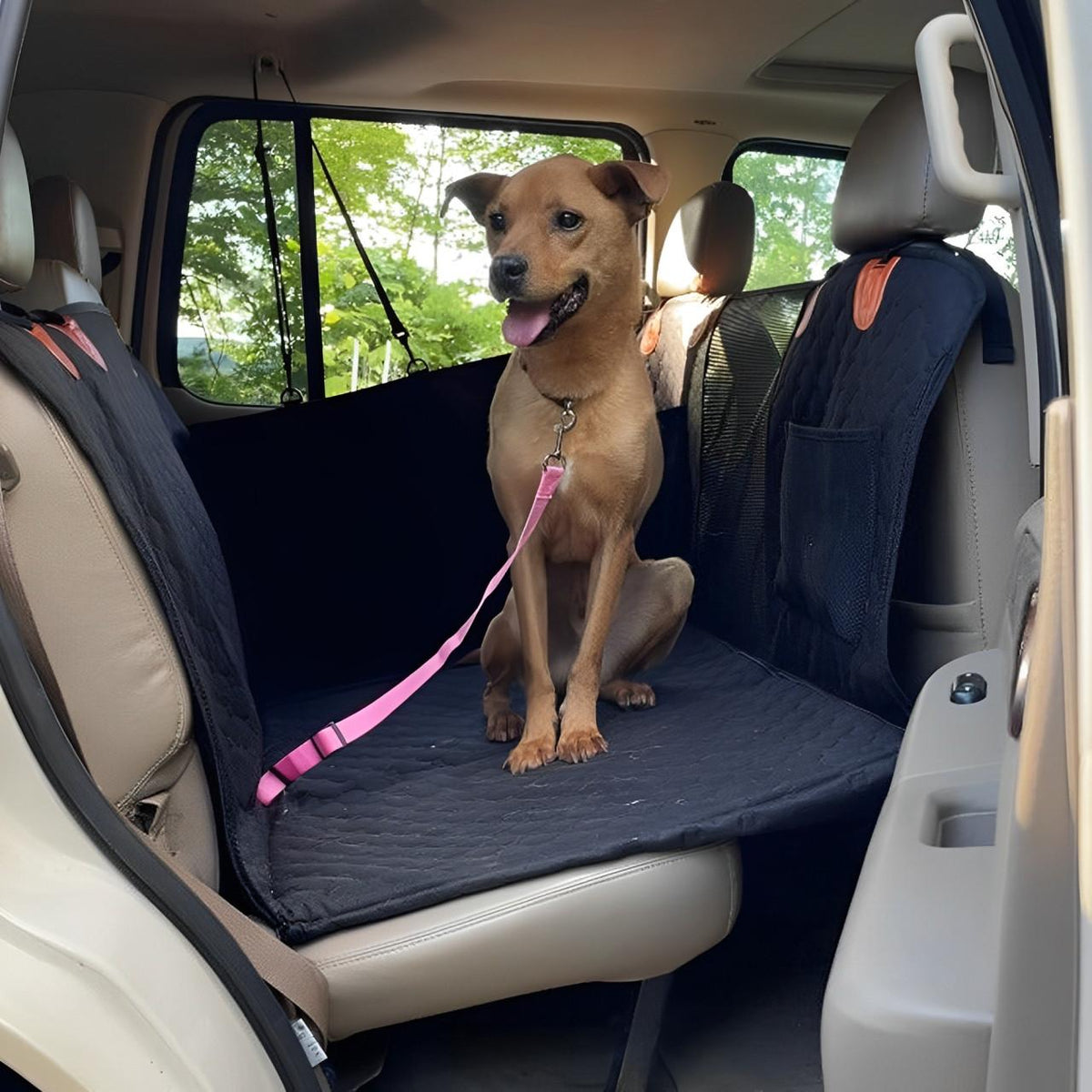 Oak & Coral | Car Cover for Dogs with Door Shields