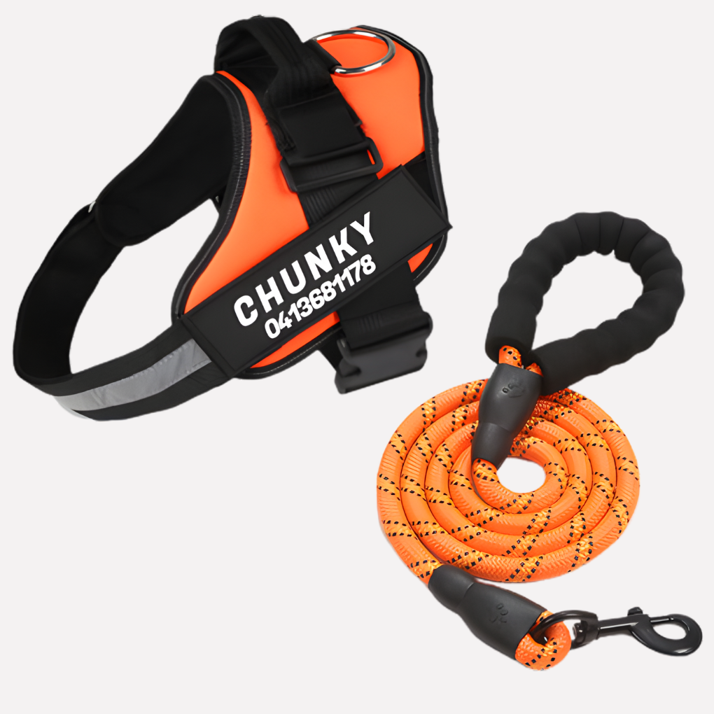 Oak & Coral | Customizable Anti-Pull Dog Harness