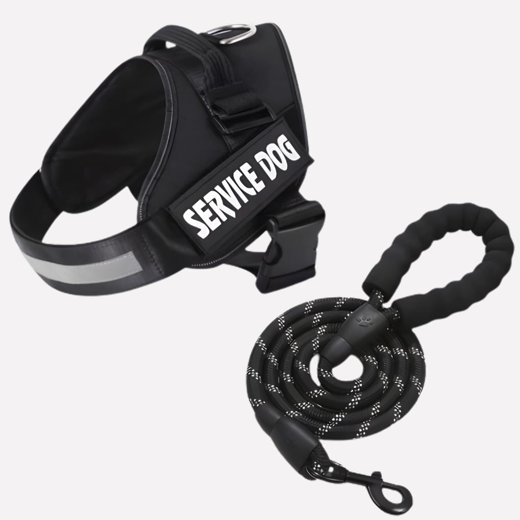 Oak & Coral | Customizable Anti-Pull Dog Harness