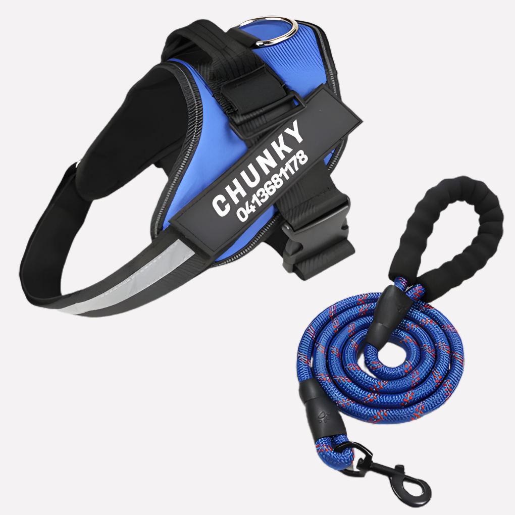 Oak & Coral | Customizable Anti-Pull Dog Harness