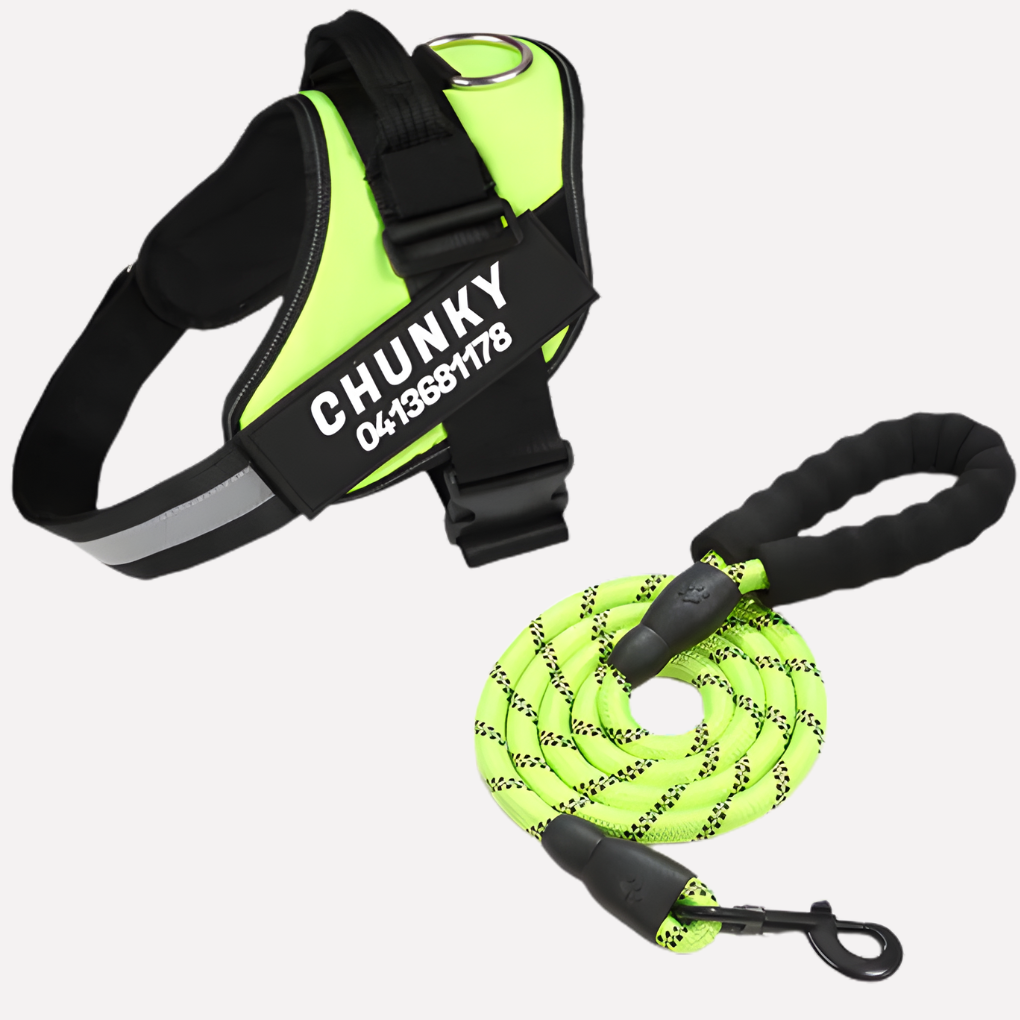 Oak & Coral | Customizable Anti-Pull Dog Harness