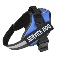 Oak & Coral | Customizable Anti-Pull Dog Harness