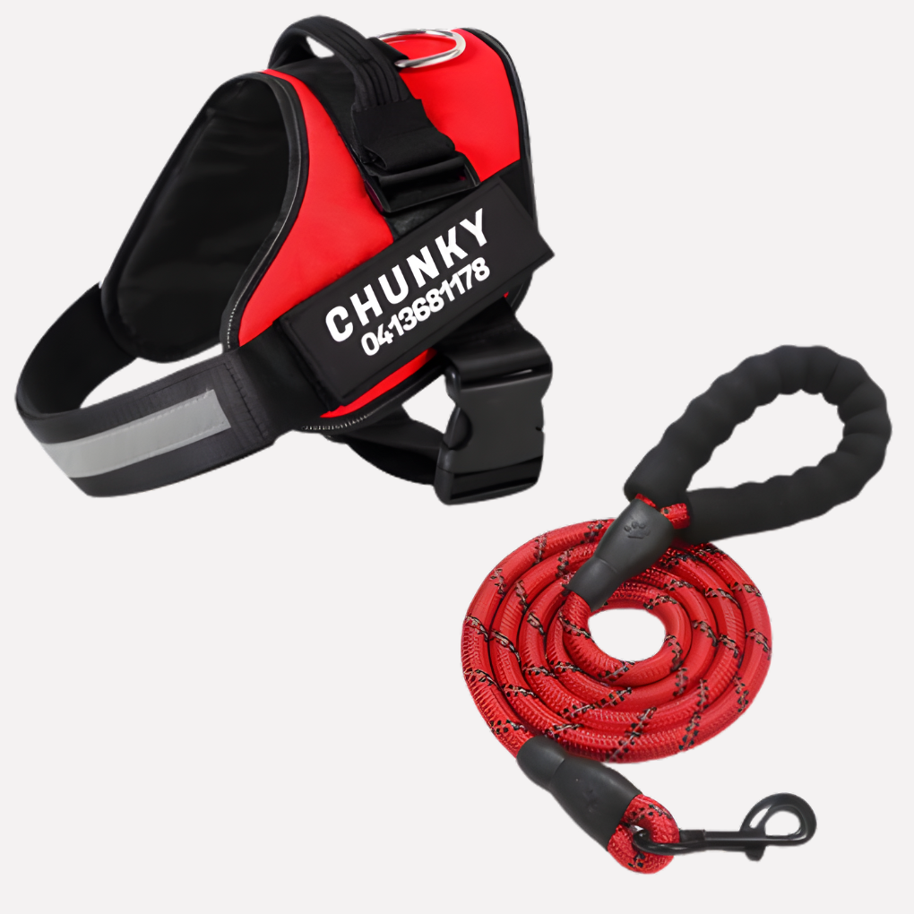 Oak & Coral | Customizable Anti-Pull Dog Harness