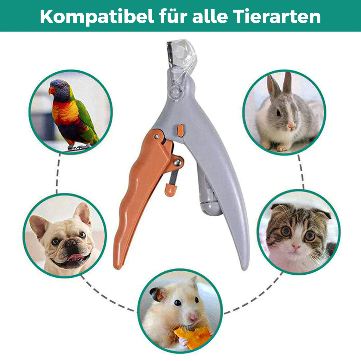 Oak & Coral | Dog & Cat Nail Clipper with Safety Sensor & LED