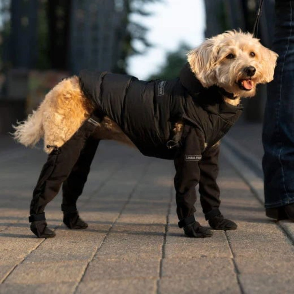 Oak & Coral | Dog Paw Protection Boots for Outdoor Adventures