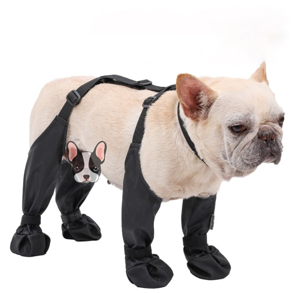 Oak & Coral | Dog Paw Protection Boots for Outdoor Adventures