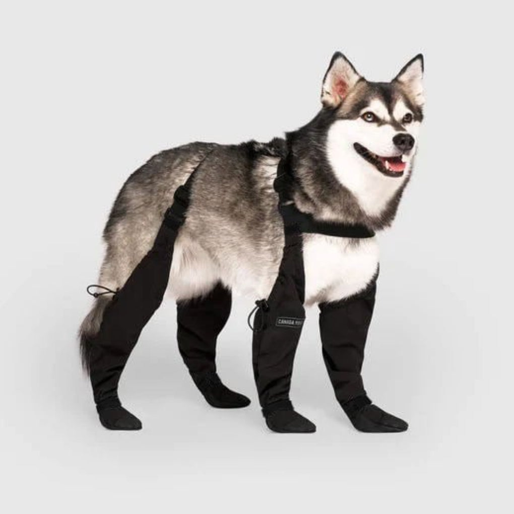 Oak & Coral | Dog Paw Protection Boots for Outdoor Adventures