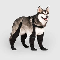 Oak & Coral | Dog Paw Protection Boots for Outdoor Adventures