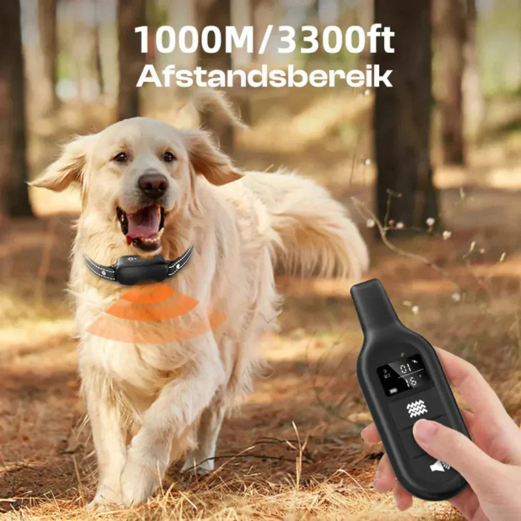 Oak & Coral | Dog Training Collar with Remote Control