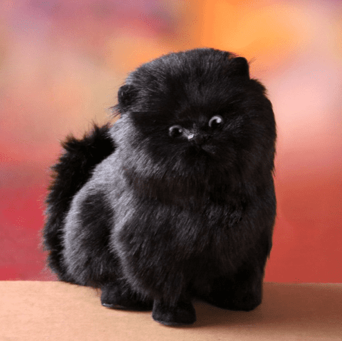 Oak & Coral | Enchanting, electric, interactive plush kitten