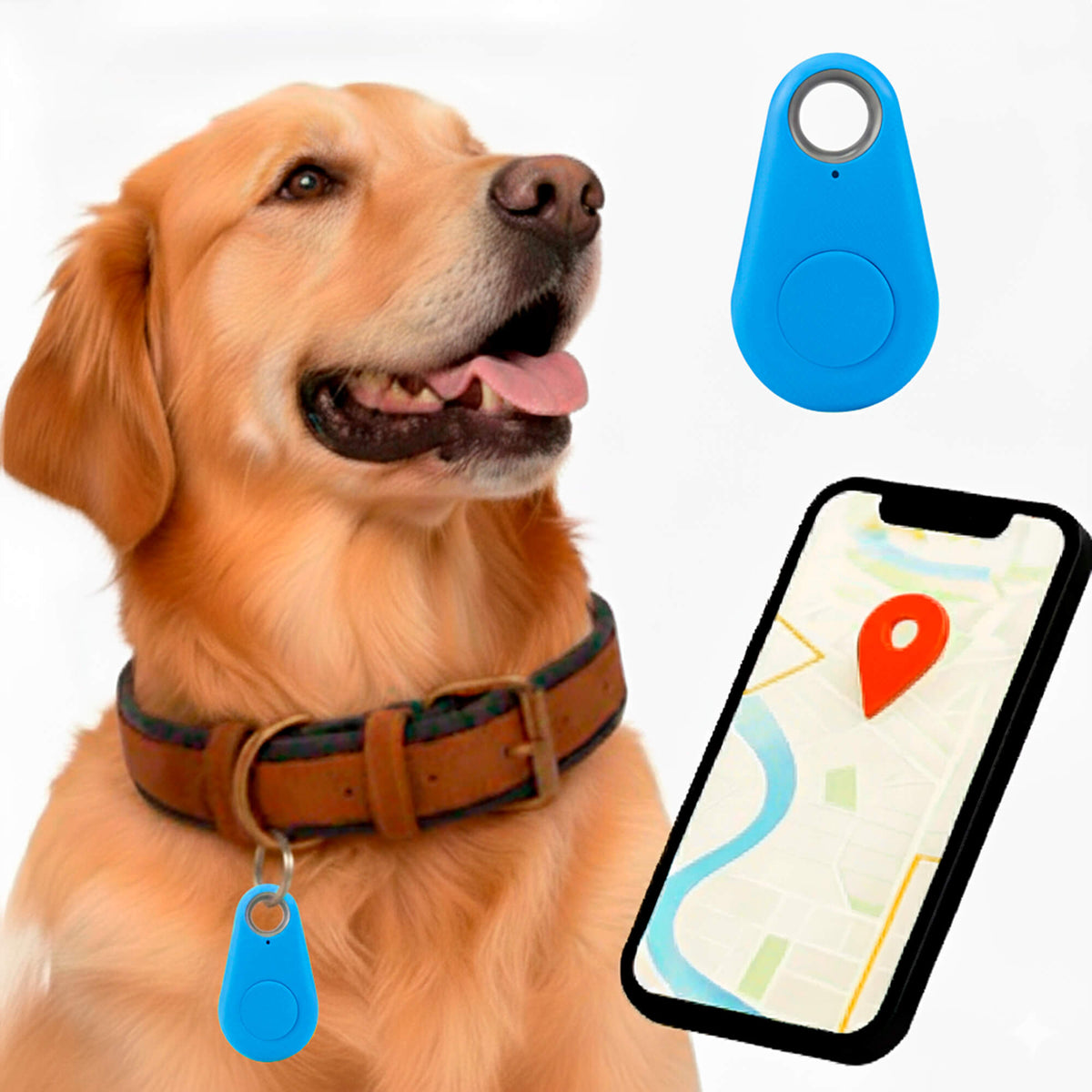 Oak & Coral | GPS Dog Tracking | Waterproof, Real-Time Location & Safety Zone Alerts for Outdoor Adventures