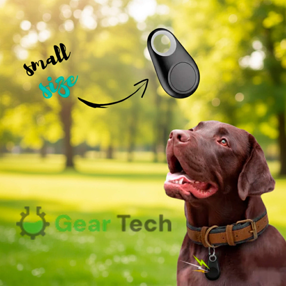Oak & Coral | GPS Dog Tracking | Waterproof, Real-Time Location & Safety Zone Alerts for Outdoor Adventures