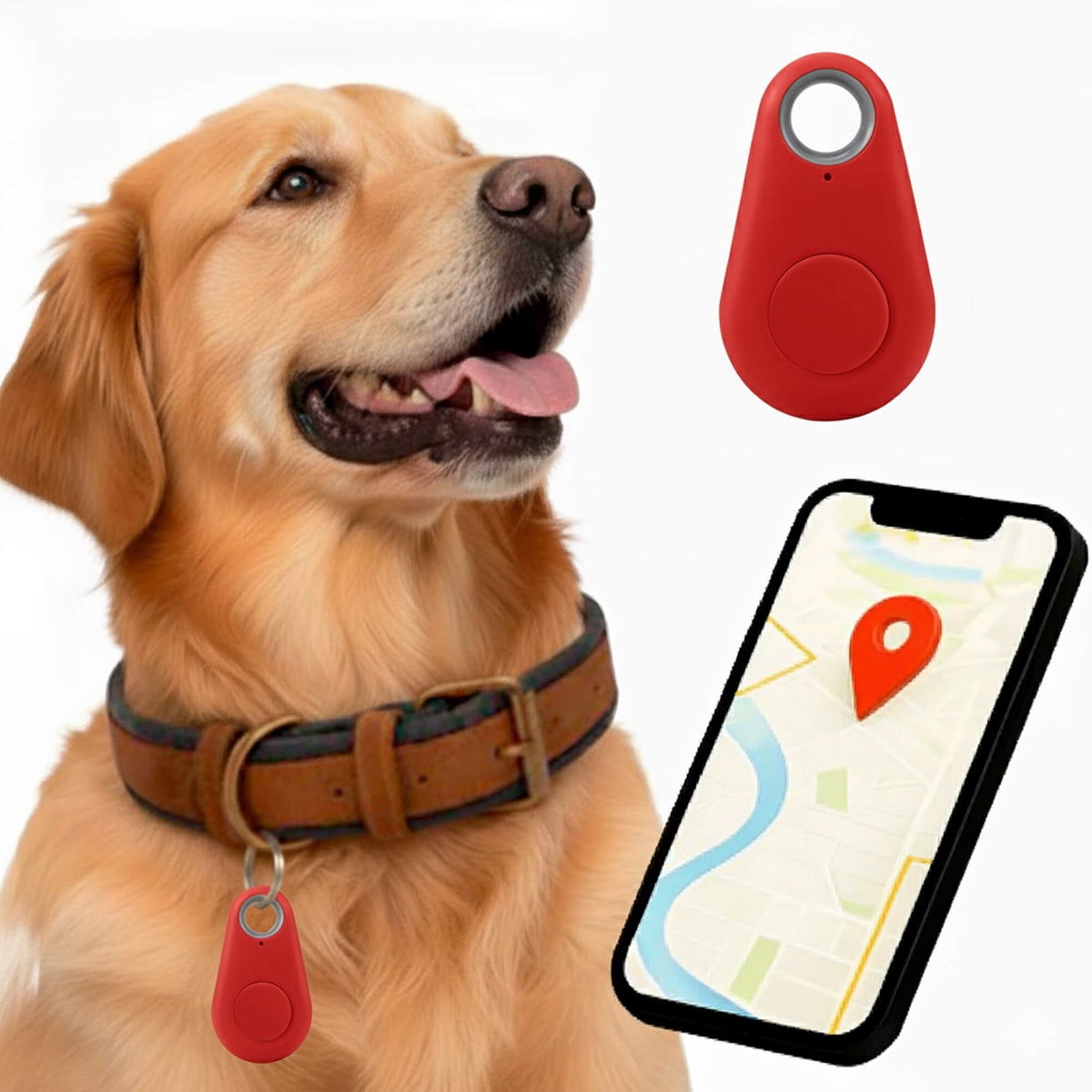 Oak & Coral | GPS Dog Tracking | Waterproof, Real-Time Location & Safety Zone Alerts for Outdoor Adventures