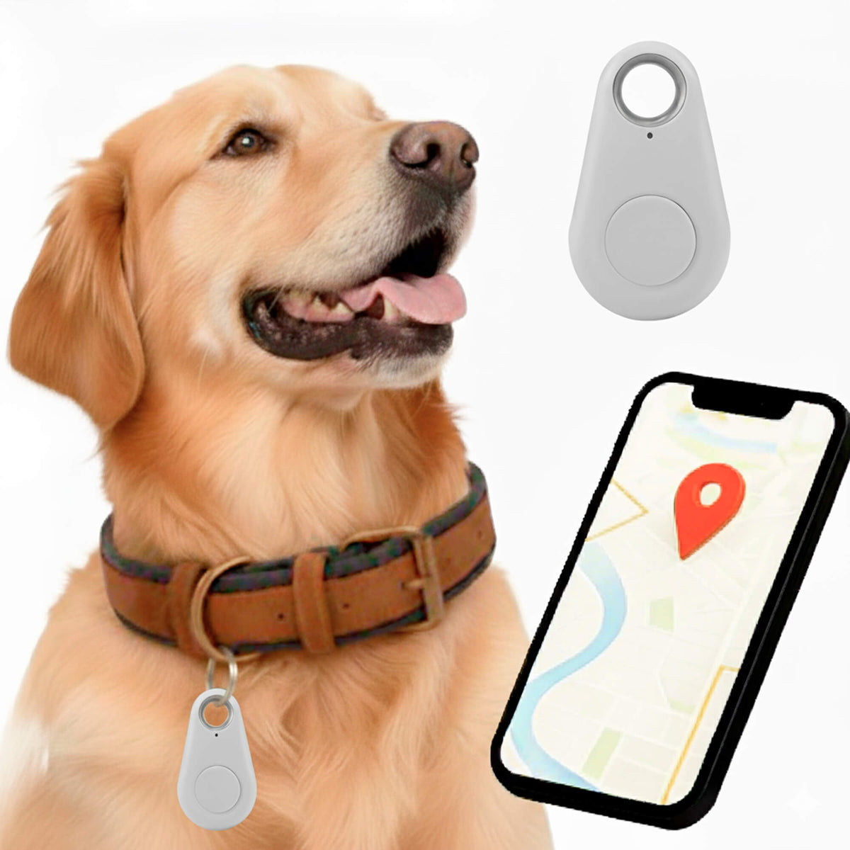 Oak & Coral | GPS Dog Tracking | Waterproof, Real-Time Location & Safety Zone Alerts for Outdoor Adventures