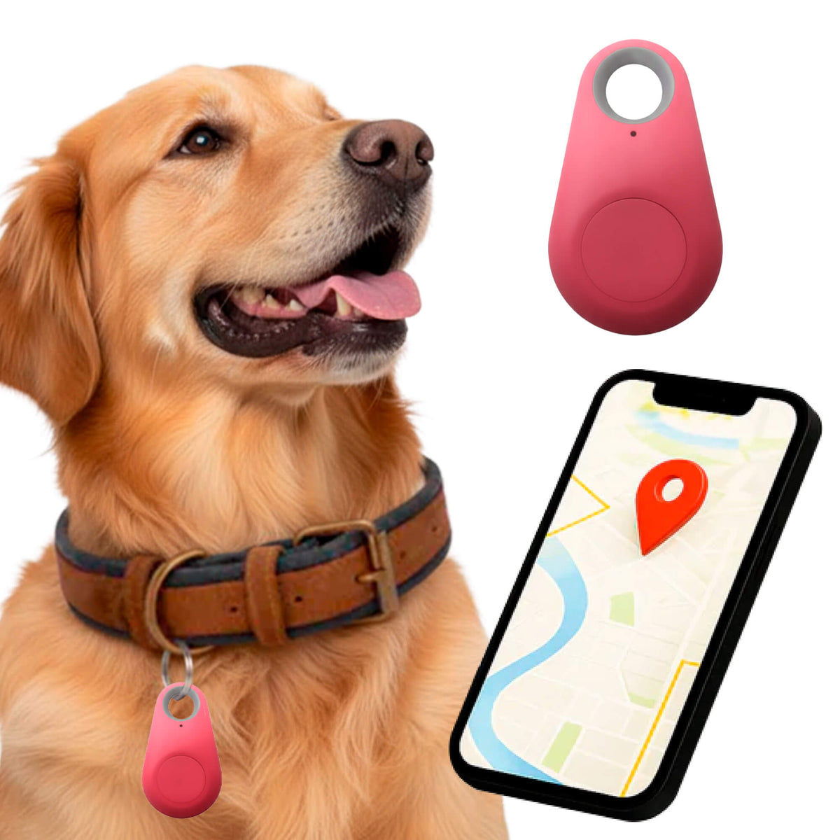 Oak & Coral | GPS Dog Tracking | Waterproof, Real-Time Location & Safety Zone Alerts for Outdoor Adventures