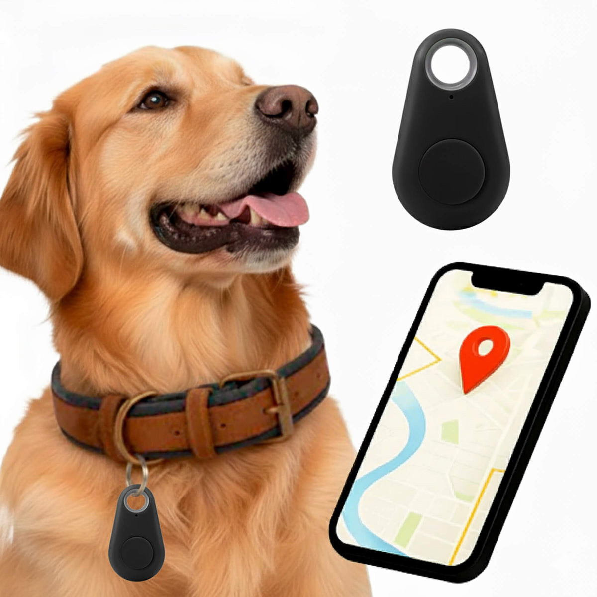 Oak & Coral | GPS Dog Tracking | Waterproof, Real-Time Location & Safety Zone Alerts for Outdoor Adventures