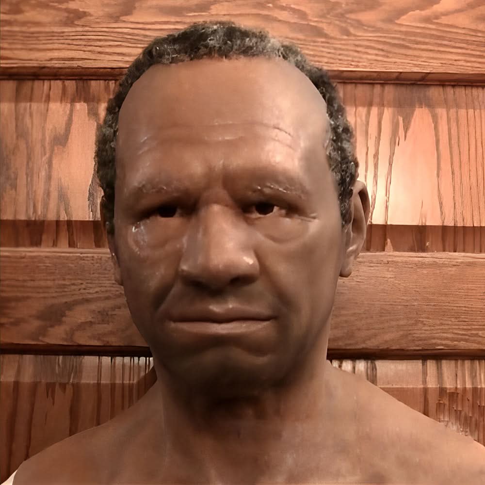 Oak & Coral | Halloween Latex Mask | Realistic and Elastic | Adult