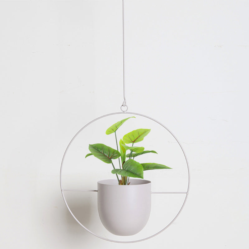Oak & Coral | Luxury Modern Hanging Pots