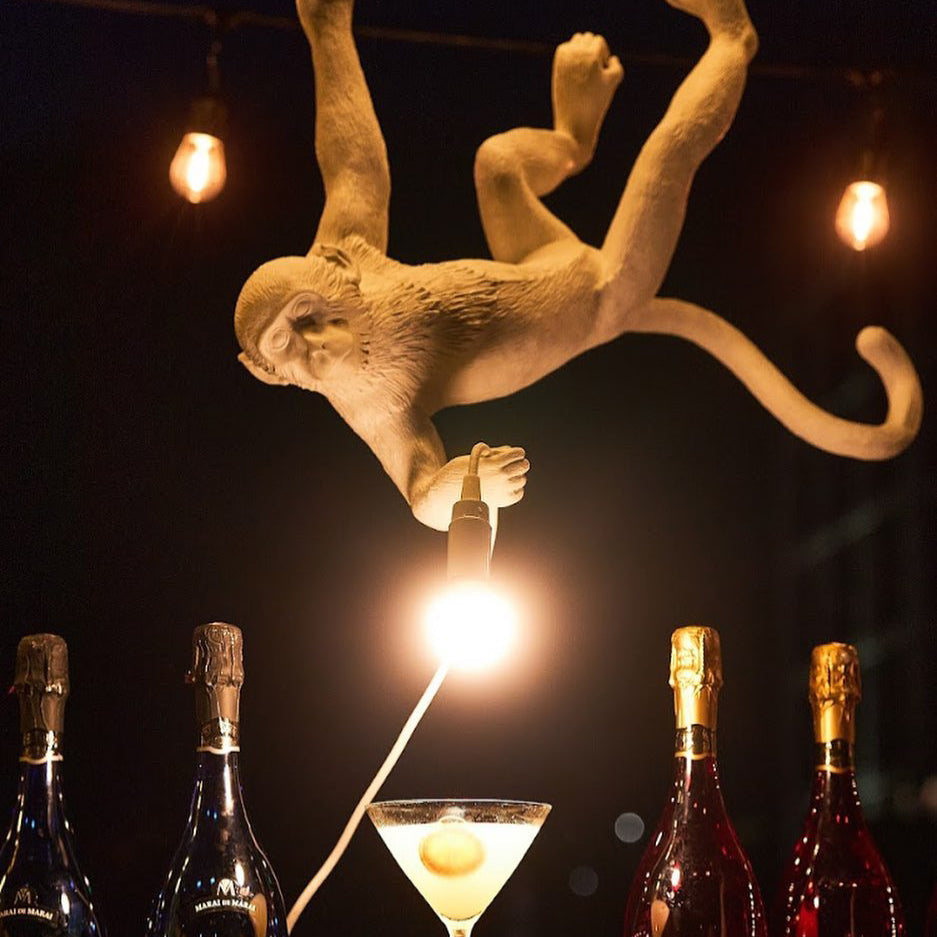 Oak & Coral | Monkey Pendant Light | Sculptural Design Object
