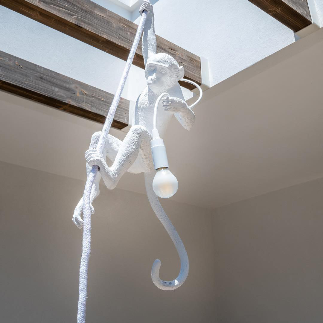 Oak & Coral | Monkey Pendant Light | Sculptural Design Object