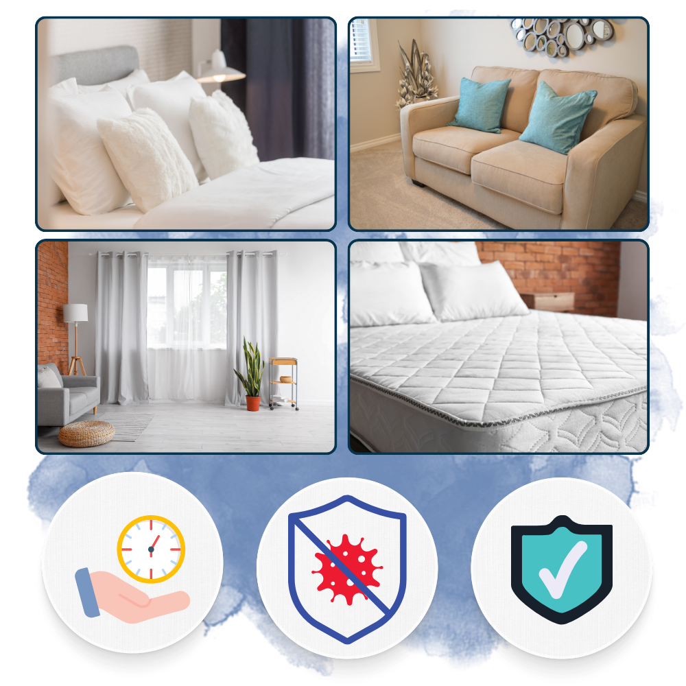 Oak & Coral | Multi-Surface UV Disinfectant Bulb – Strongest Bed Bug Killer for Home & Travel Use