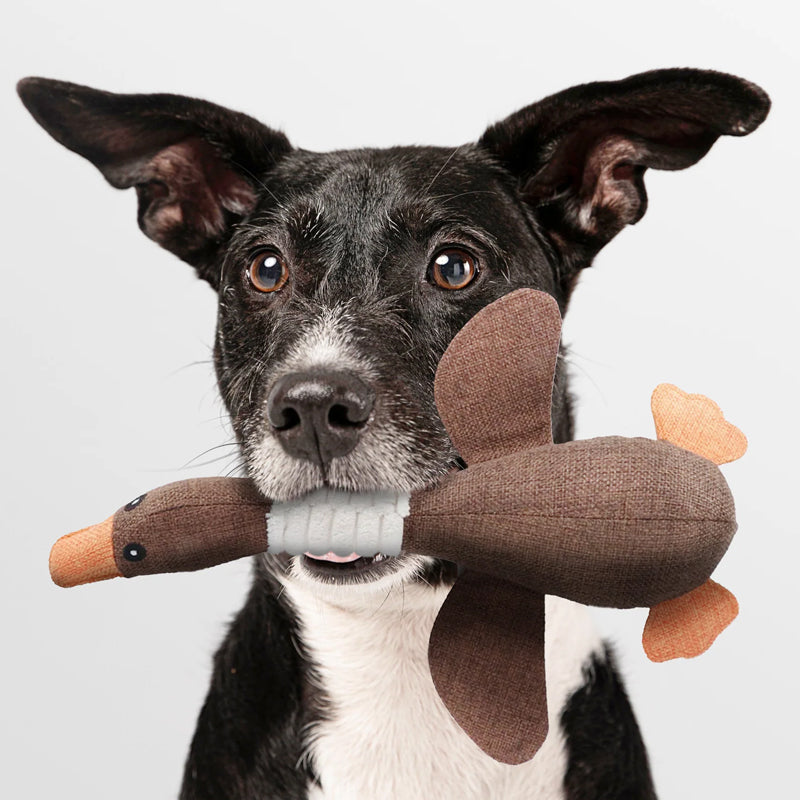 Oak & Coral | Plush Duck Dog Toy with Squeaker