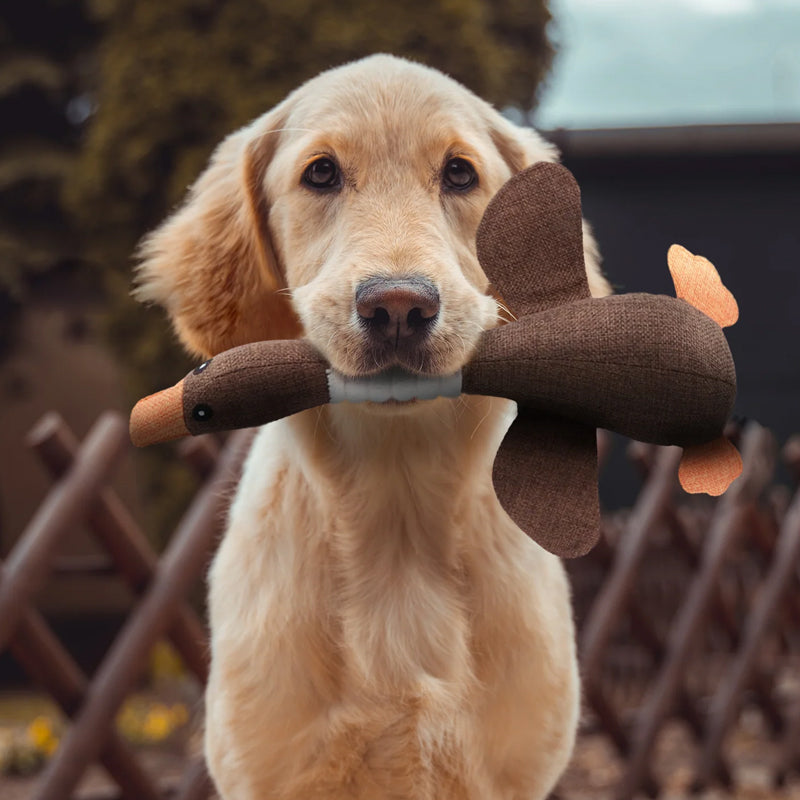 Oak & Coral | Plush Duck Dog Toy with Squeaker