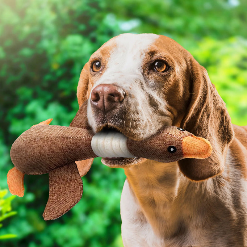 Oak & Coral | Plush Duck Dog Toy with Squeaker