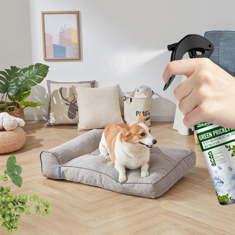 Oak & Coral | Powerful Mite Remover Spray