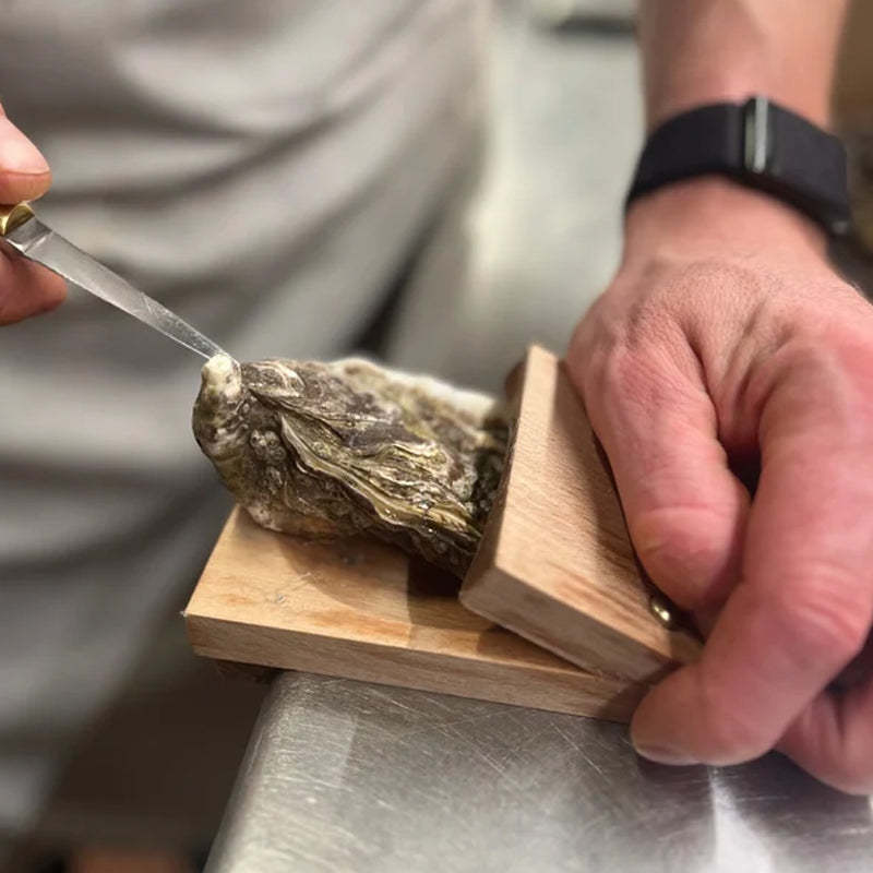 Oak & Coral | Premium wood handle oyster shell opener clamp