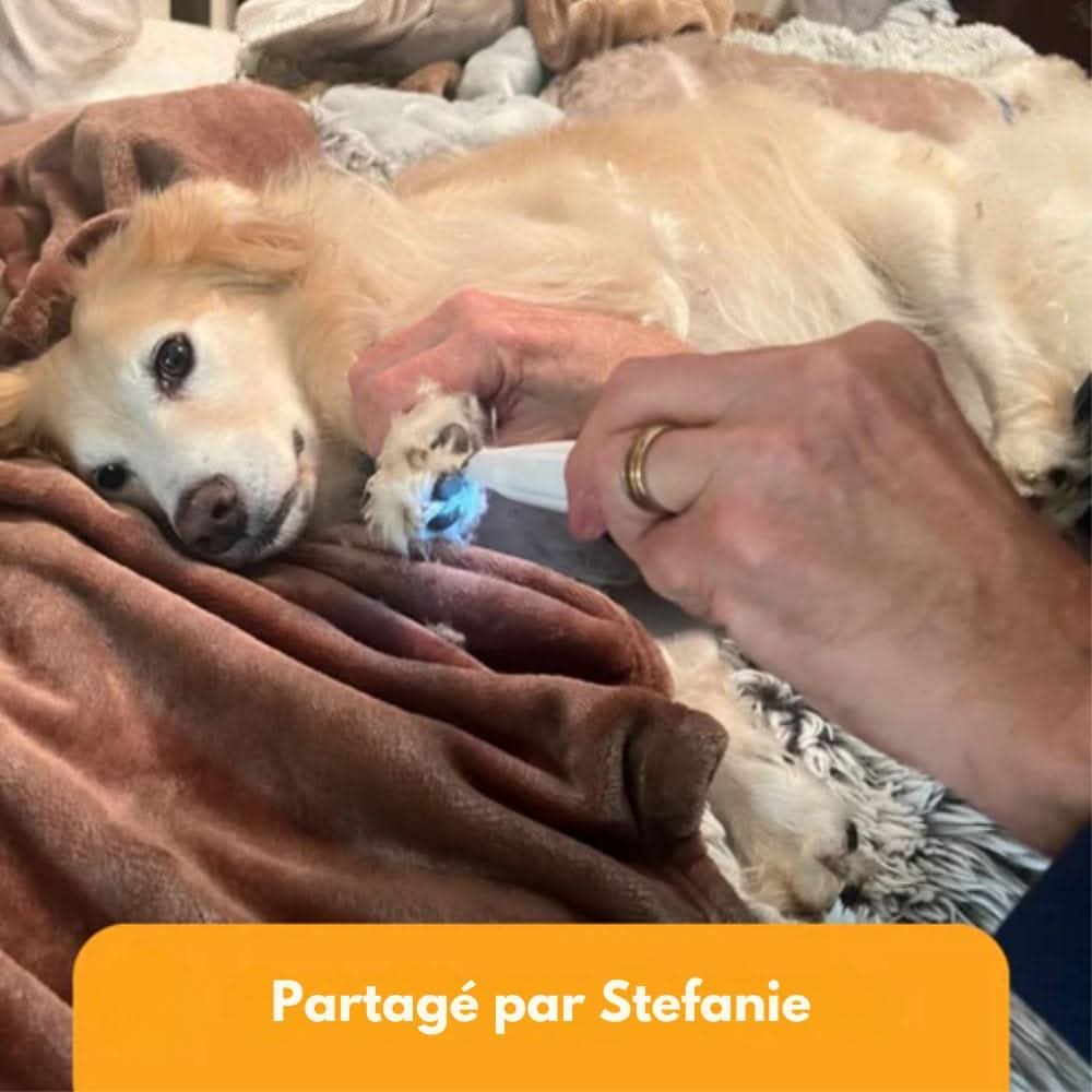 Oak & Coral | SilentPet Trimmer – Silent fur trimmer for sensitive areas on dogs & cats