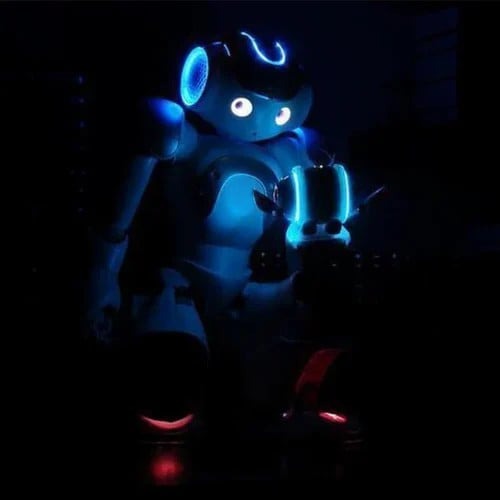 Oak & Coral | Smart Robot Toy for Kids | ThinkBot Interactive Learning Robot | Gesture Control | Dancing & Talking | Rechargeable