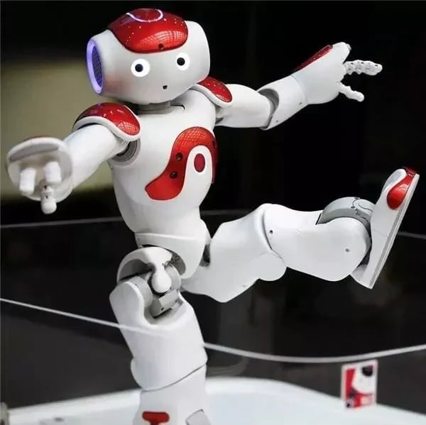 Oak & Coral | Smart Robot Toy for Kids | ThinkBot Interactive Learning Robot | Gesture Control | Dancing & Talking | Rechargeable