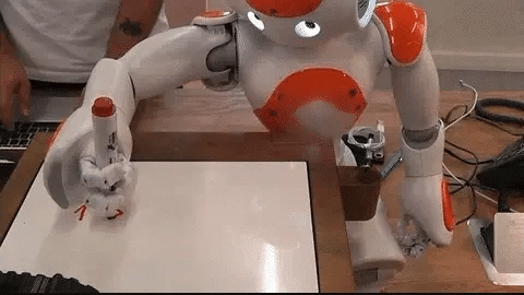 Oak & Coral | Smart Robot Toy for Kids | ThinkBot Interactive Learning Robot | Gesture Control | Dancing & Talking | Rechargeable