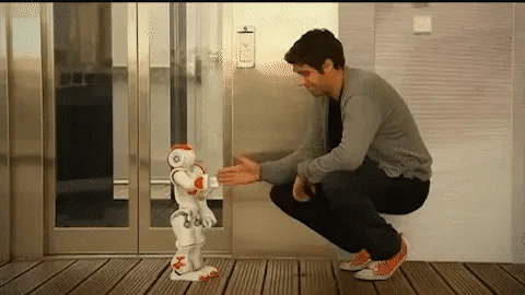 Oak & Coral | Smart Robot Toy for Kids | ThinkBot Interactive Learning Robot | Gesture Control | Dancing & Talking | Rechargeable