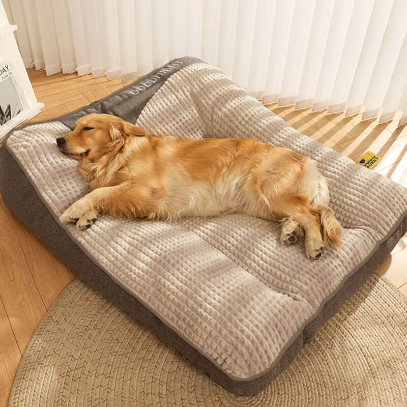 Oak & Coral | Thick scratch-resistant spine protection dog bed