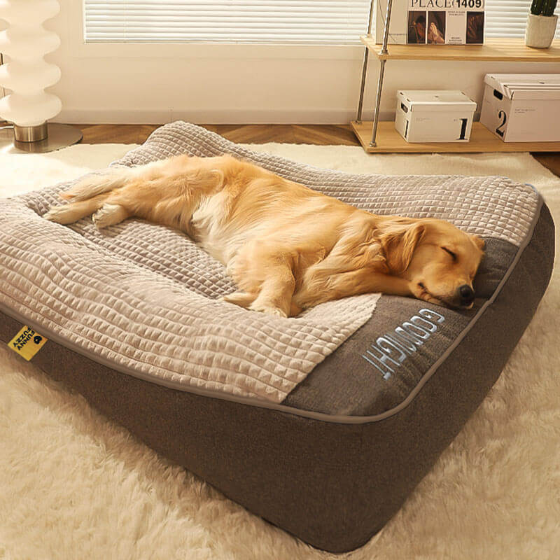 Oak & Coral | Thick scratch-resistant spine protection dog bed