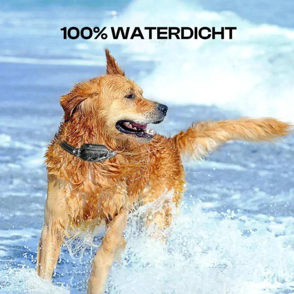 Oak & Coral | Training Collar for Dogs with Remote 1000m
