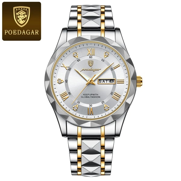 Oak & Coral | Waterproof Luxury Men's Wristwatch by the Top Brand with Luminous Function
